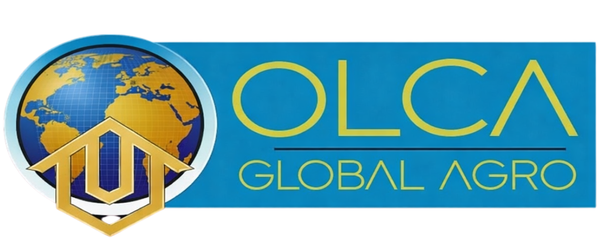 Untitled design (12)